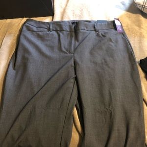 Lane Bryant Classic Trouser